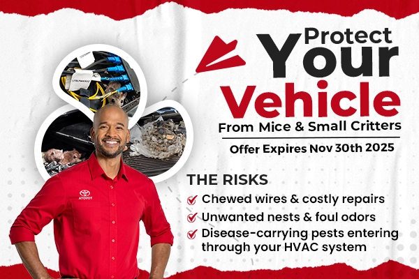 Fall Protection Service