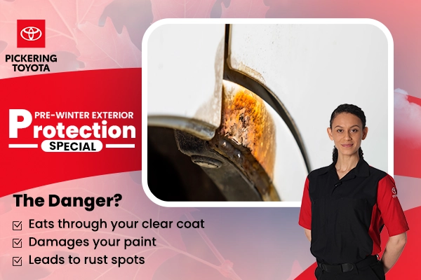 Pre-Winter Exterior Protection Service