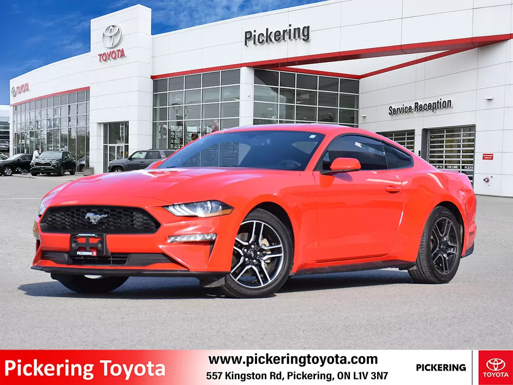 2019 Ford Mustang 2 Door Fastback (Coupe) EcoBoost