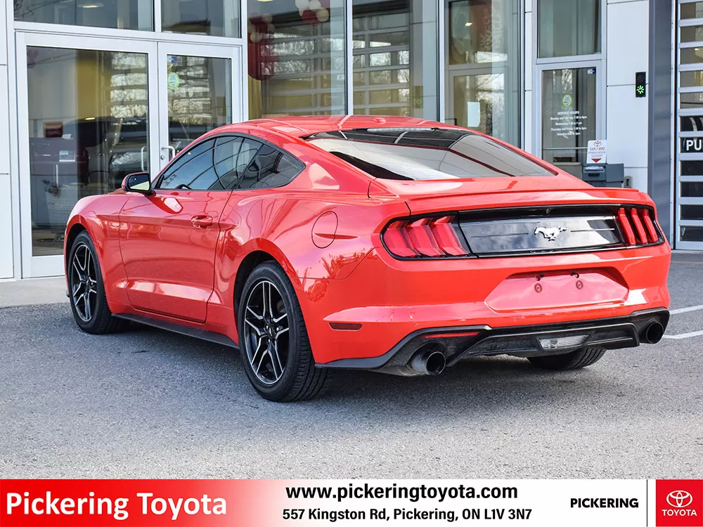 2019 Ford Mustang 2 Door Fastback (Coupe) EcoBoost