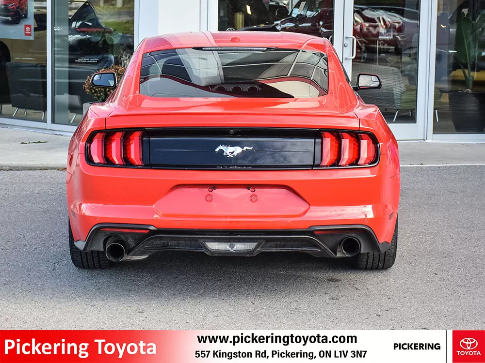 2019 Ford Mustang 2 Door Fastback (Coupe) EcoBoost