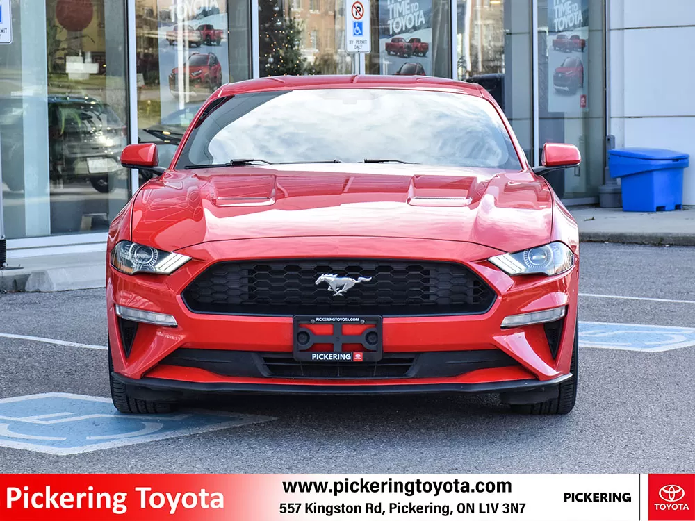 2019 Ford Mustang 2 Door Fastback (Coupe) EcoBoost